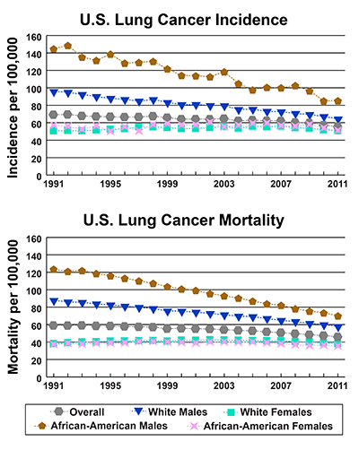 A Snapshot Of Lung Cancer National Cancer Institute 