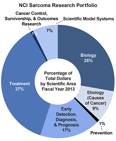 Pie chart of NCI Sarcoma Research Portfolio.  Percentage of total dollars by scientific area.  Fiscal year 2013.  Biology, 28%.  Etiology/causes of cancer, 9%.  Prevention, 1%.  Early detection, diagnosis, and prognosis, 17%.  Treatment, 37%.  Cancer control, survivorship, and outcomes research, 1%.  Scientific model systems, 7%.