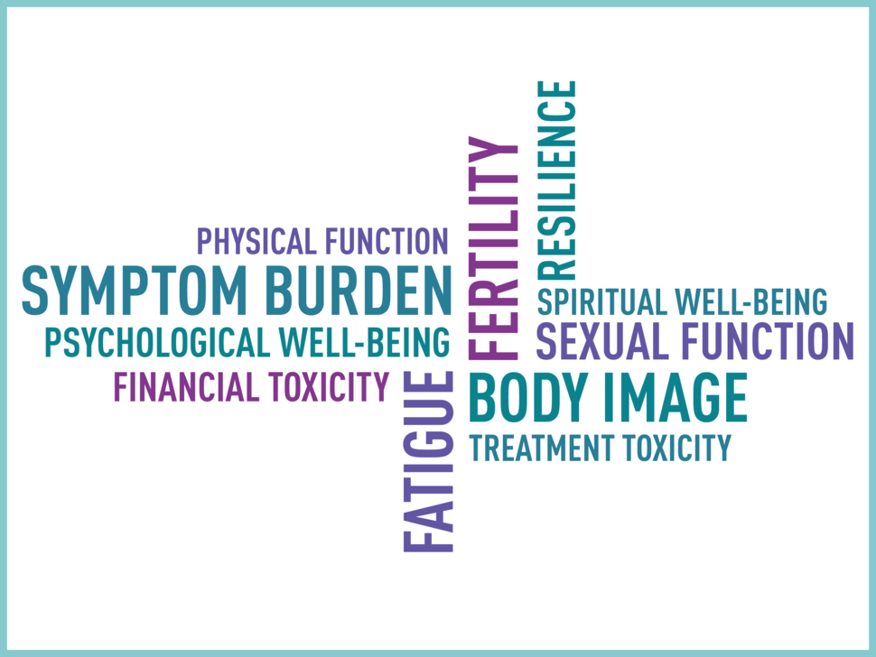 Word Cloud about article. Symptom burden, psychological well-being, financial toxicity, fatique, treatment toxicity, body image, sexual function, spiritual well-being, resilience, fertility, physical function