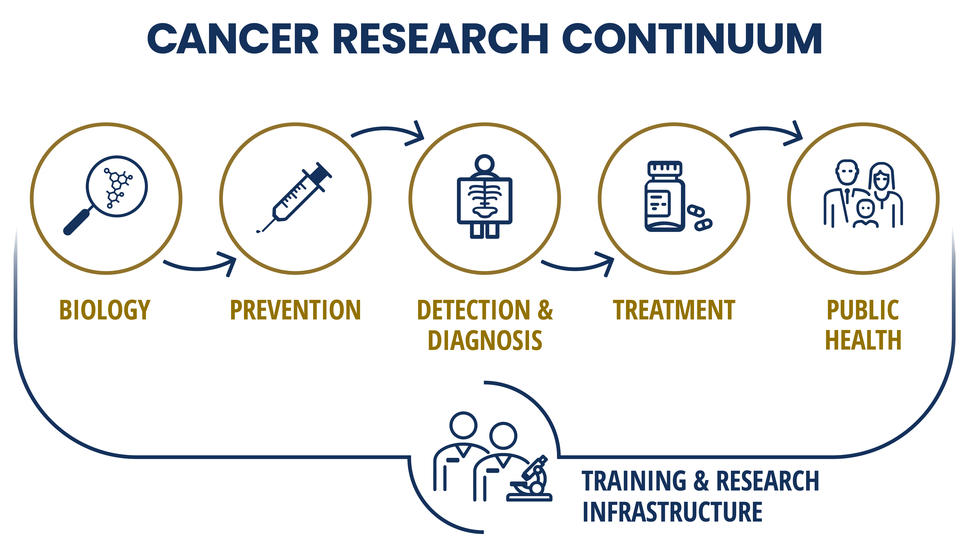 Diagram with icons depicting components of the cancer research continuum and their connection to the training and research infrastructure.