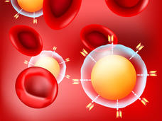 An illustration of CAR t-cells and red blood cells on a red background