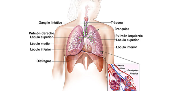 citas despues del diagnostico de cancer de pulmon