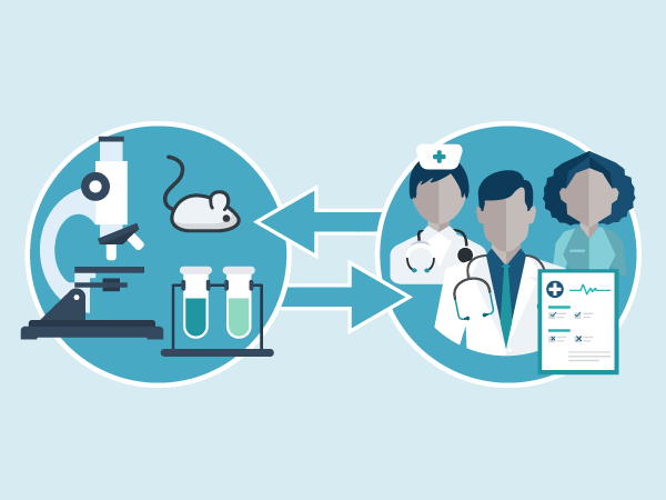 Bringing The Breast Cancer Drug Endoxifen From Bench To Bedside National Cancer Institute