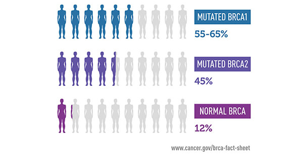 BRCA Testing in Young Cancer Patients - National Cancer Institute