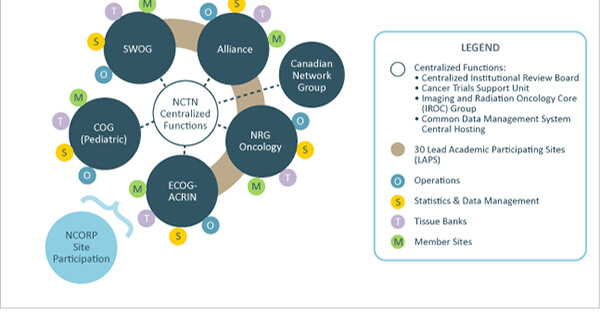 NCI National Clinical Trials Network Structure - National Cancer Institute