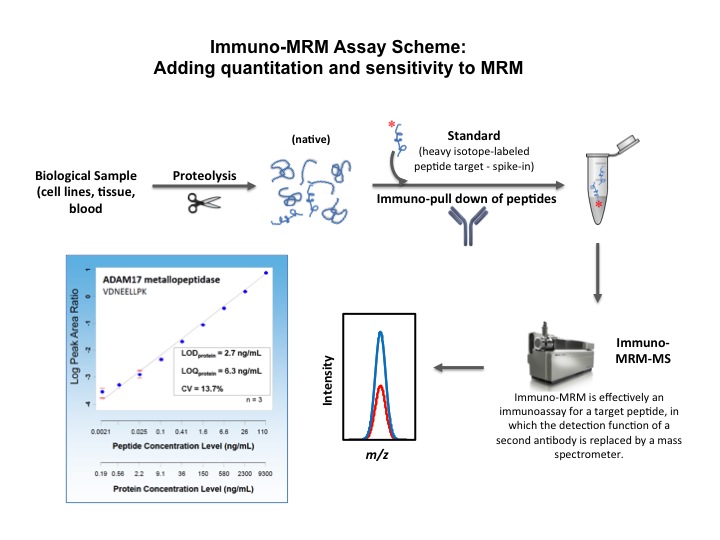 Quantitative Assays For RAS Pathway Proteins And Phosphorylation States ...