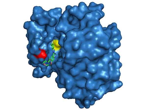 Gefitinib Approved for Some Lung Cancer Patients - National Cancer