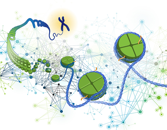 cancer genomics research paper