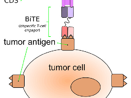 FDA Approves Subcutaneous Rituximab For Some Blood Cancers - National ...