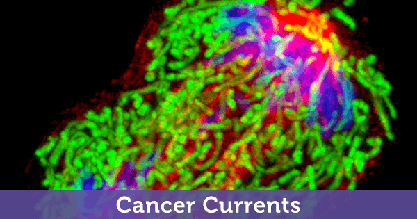 latest research in cancer biology