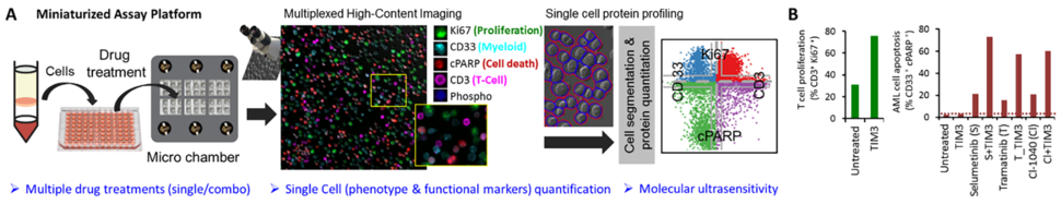 CytoScreen platform screening of immune/small molecule therapeutics in leukemia patient cells