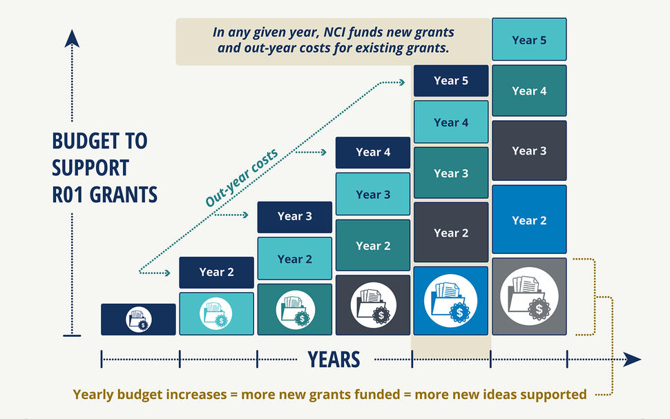 This image displays the cumulative costs of new awards over the life of a grant, as well as costs of continuing grants issued in prior years.