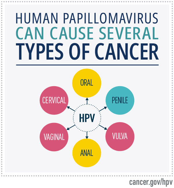 HPV and Cancer - NCI