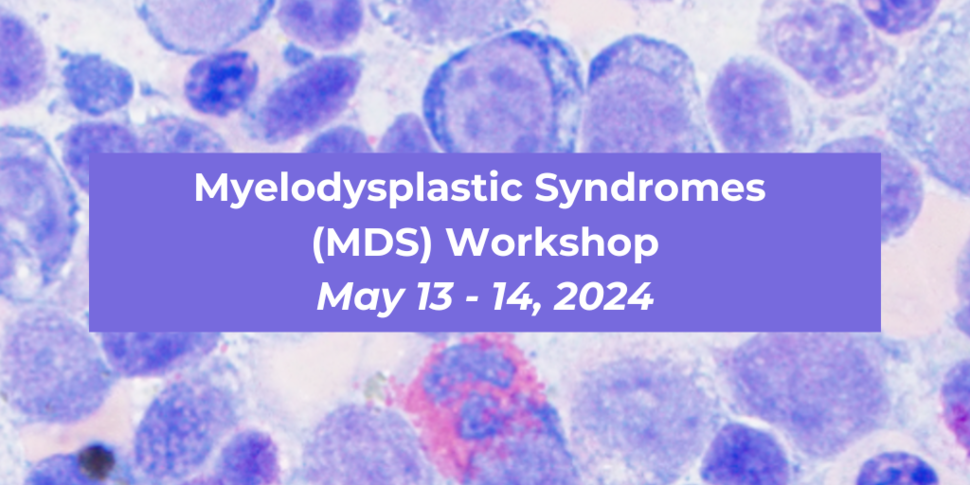 Myelodysplastic Syndromes (MDS) Workshop, May 13 - 14, 2024 banner with a histological image of MDS 