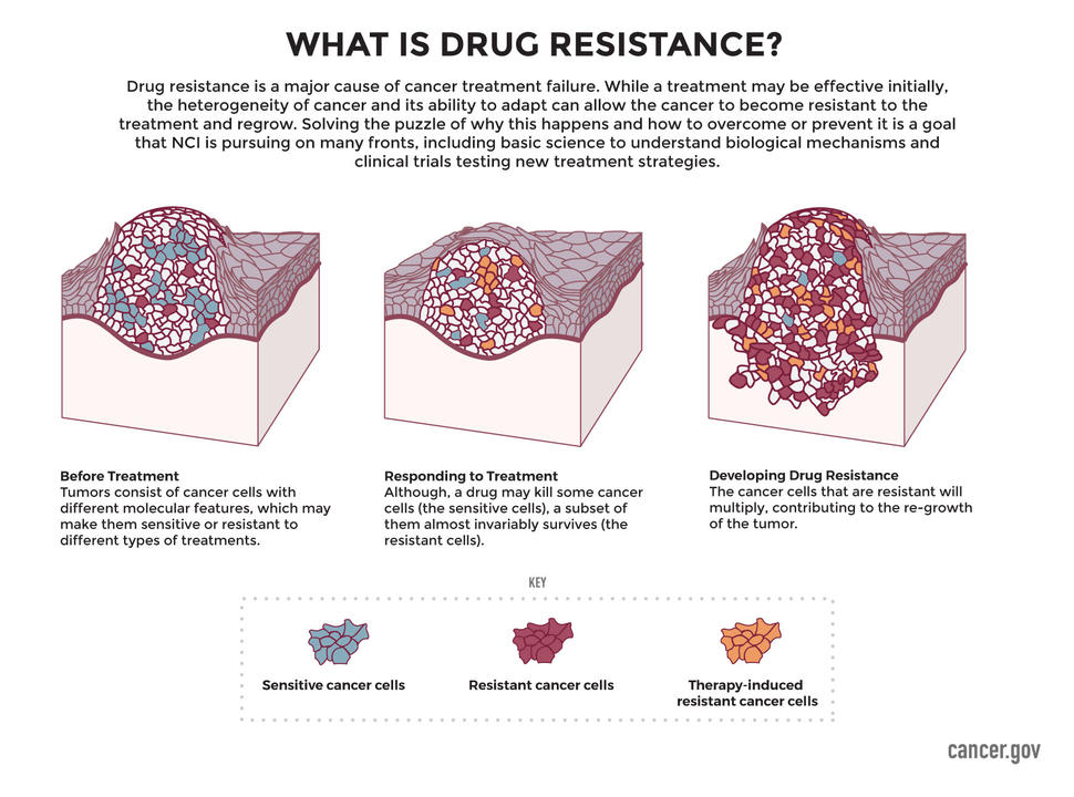 research on drug resistance