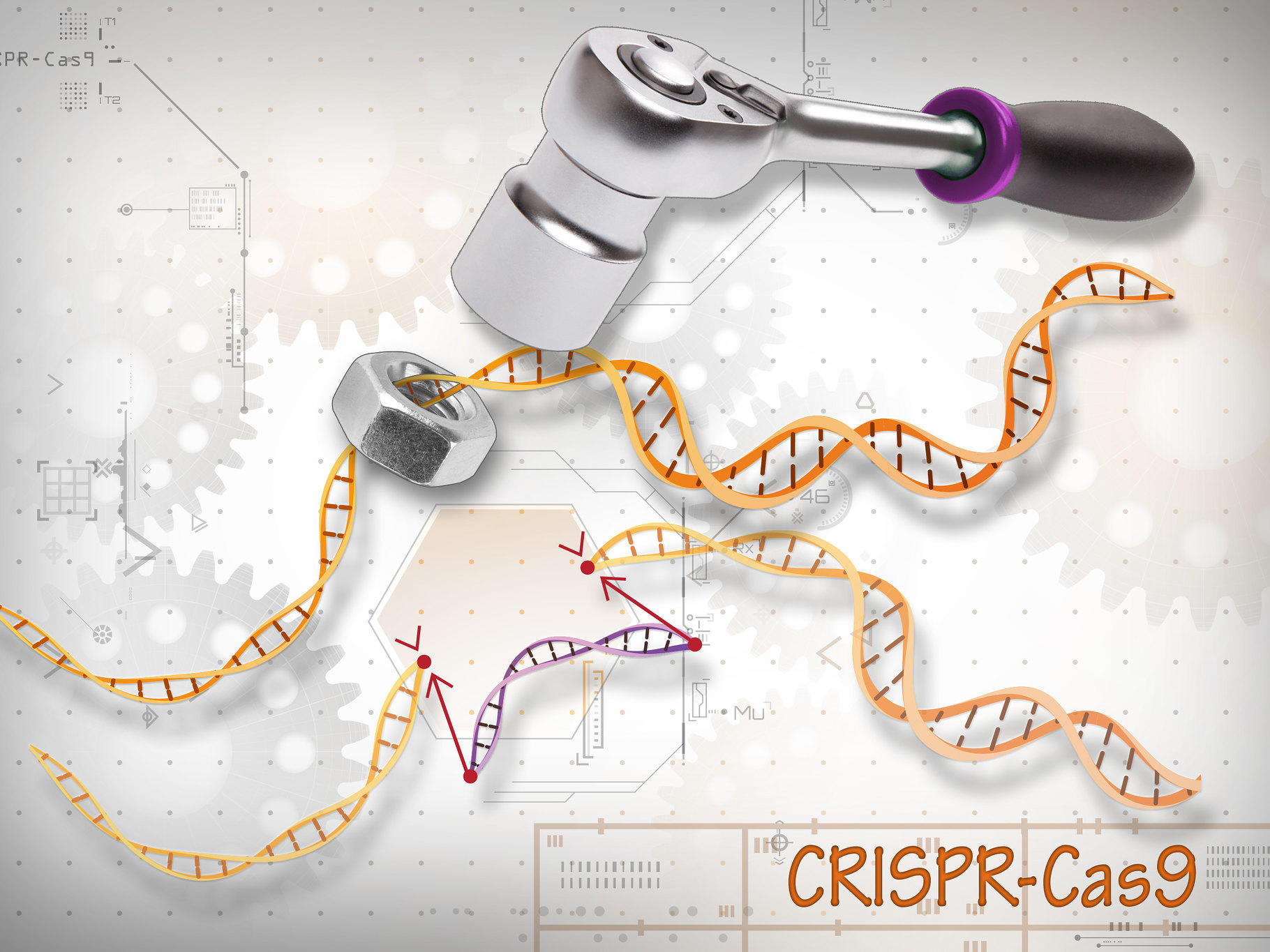skud Tangle legetøj How CRISPR Is Changing Cancer Research and Treatment - National Cancer  Institute