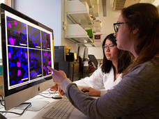Two female scientists view series of cell images on computer monitor