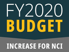 Fiscal Year 2020 Budget Increase for NCI