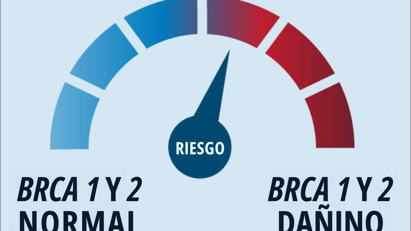 Imagen conceptual de un medidor de riesgo de cáncer con BCRA normal y BCRA dañino con una aguja que apunta hacia el lado del BRCA dañino.
